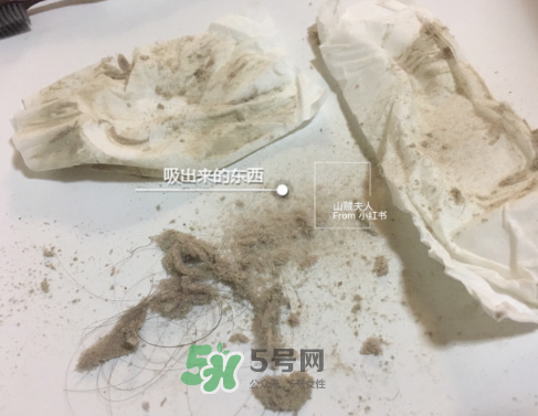 除螨儀真的能除螨嗎？除螨儀到底有沒有用？