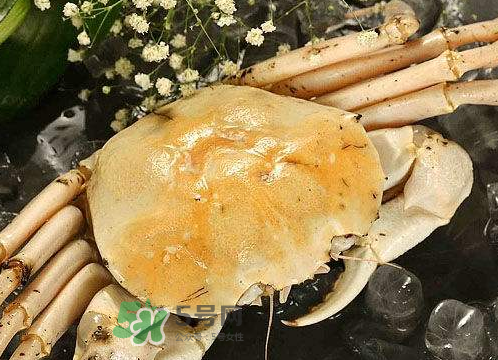 雪蟹多少錢一斤？雪蟹多少錢一只？