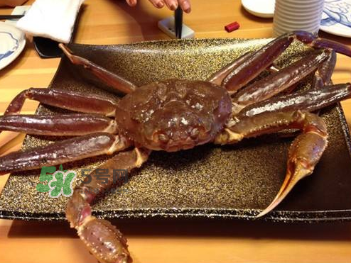 雪蟹多少錢一斤？雪蟹多少錢一只？