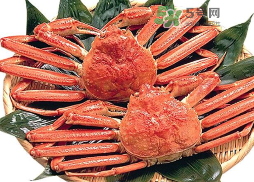 雪蟹多少錢一斤？雪蟹多少錢一只？