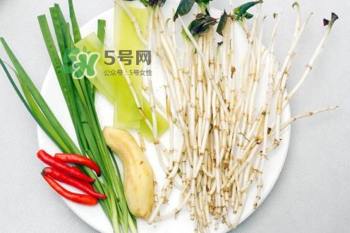 魚腥草用開水泡可以嗎？魚腥草用量多少克？