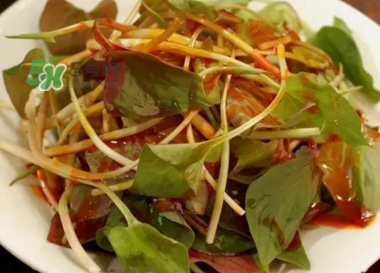 魚腥草多少錢一斤？干的魚腥草多少錢一斤