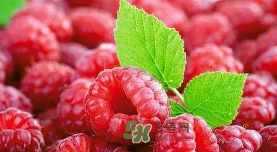 pola莓果酵素怎么吃？pola紅莓酵素怎么樣？