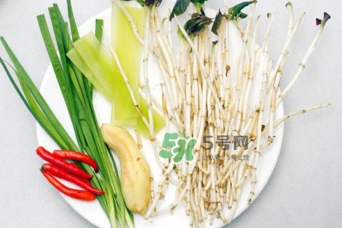 魚腥草什么季節(jié)有？魚腥草什么時候采摘最好