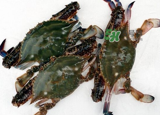 青島梭子蟹多少錢一斤？青島梭子蟹什么時(shí)候上市？