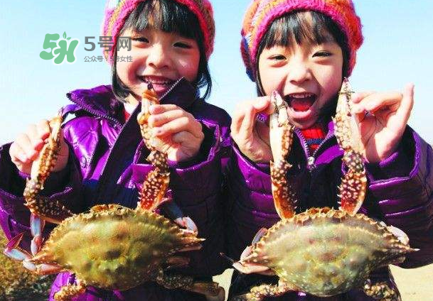 青島梭子蟹多少錢一斤？青島梭子蟹什么時(shí)候上市？