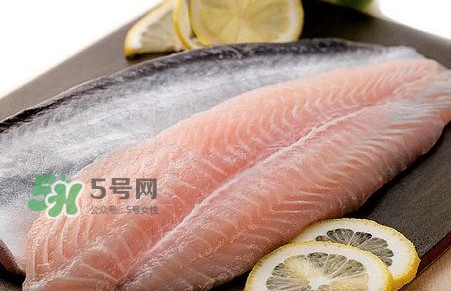 巴沙魚是鯰魚嗎？巴沙魚是海魚嗎