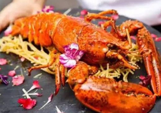 七彩神蝦多少錢一斤？七彩神蝦估值