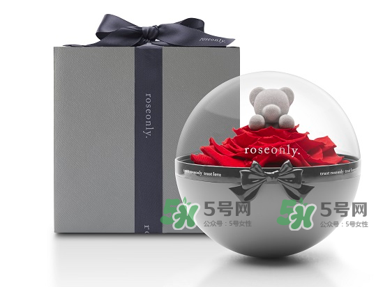 roseonly熊怎么樣？roseonly玫瑰熊好看嗎？