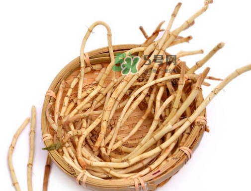 折耳根有毒嗎？折耳根有毒吃了會(huì)傷腎？