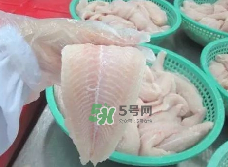 巴沙魚有刺嗎？巴沙魚有寄生蟲嗎