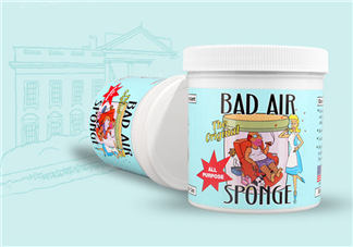 Bad Air Sponge有用嗎？Bad Air Sponge效果如何？