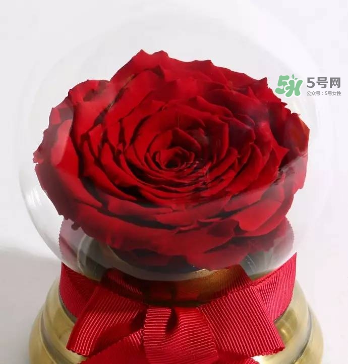 野獸派2017七夕禮盒有哪些？野獸派2017七夕禮盒價格