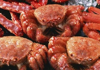 板蟹和帝王蟹哪個(gè)好吃？板蟹和帝王蟹區(qū)別