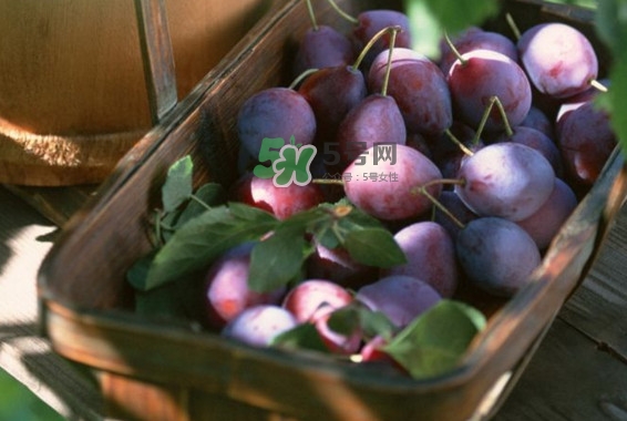 烏梅是綠色的正常嗎？烏梅是綠色的能吃嗎