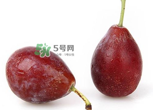 烏梅是西梅嗎？烏梅和西梅的區(qū)別