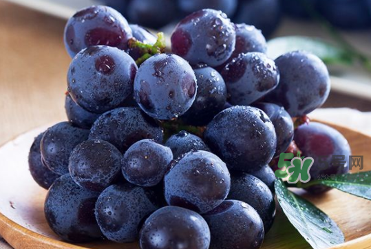 黑提子是涼性還是熱性？黑提是熱性還是涼性？