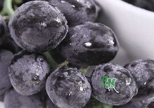 黑提子是涼性還是熱性？黑提是熱性還是涼性？