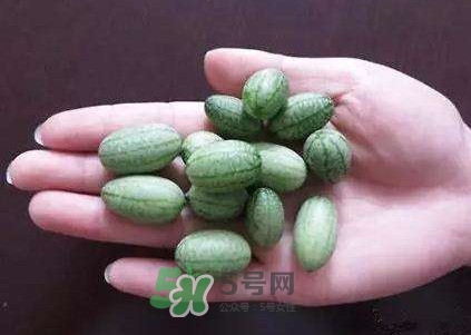 拇指西瓜怎么吃？拇指西瓜好吃嗎