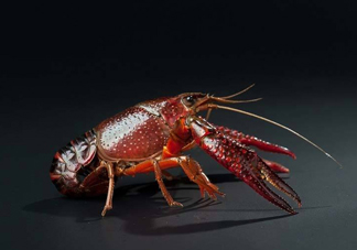 吃小龍蝦什么會得橫紋肌溶解癥？橫紋肌溶解癥嚴重嗎