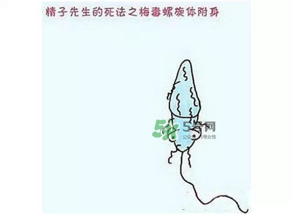 殺精的食物有哪些？吃什么東西殺精？