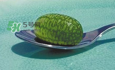 拇指西瓜口感如何？拇指西瓜什么味道？