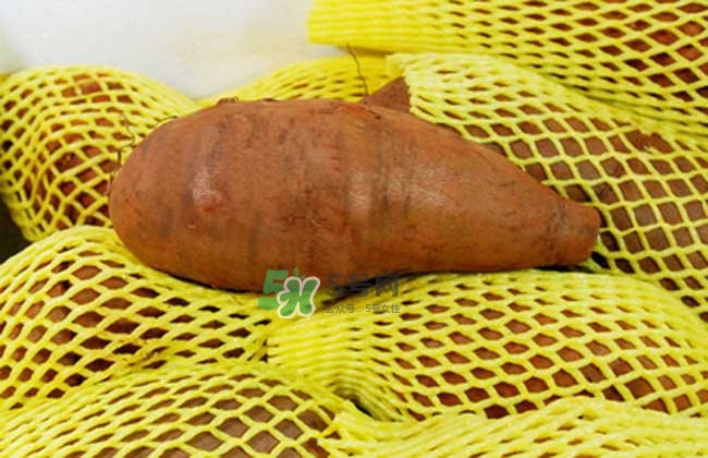 雪蓮果什么時候吃最好？雪蓮果是什么味道？