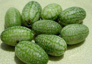 世界上最小西瓜是拇指西瓜嗎？世界上最小西瓜帶皮吃嗎