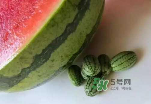 拇指西瓜多少錢一斤？拇指西瓜一口能吃幾個？