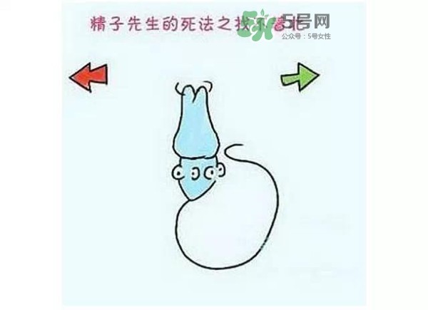 殺精的食物有哪些？吃什么東西殺精？