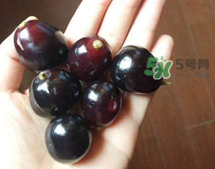 烏梅是酸性還是堿性？烏梅是熱性還是涼性