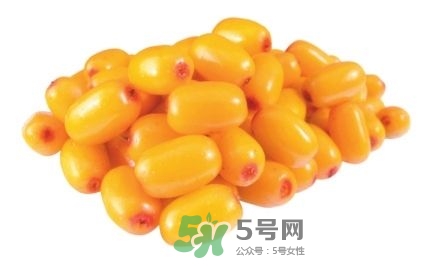 沙棘怎么吃？沙棘果的食用禁忌