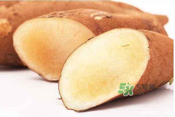 雪蓮果是地瓜嗎？雪蓮果和紅薯的區(qū)別