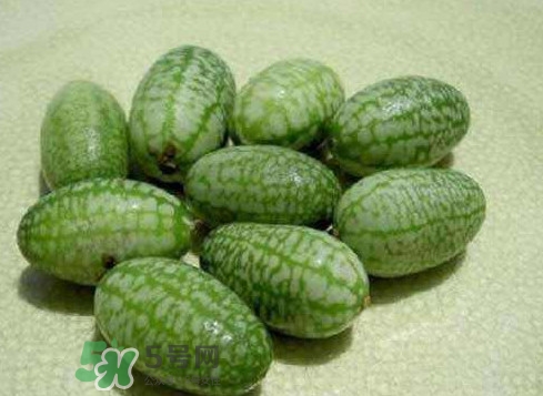 世界上最小西瓜是拇指西瓜嗎？世界上最小西瓜帶皮吃嗎