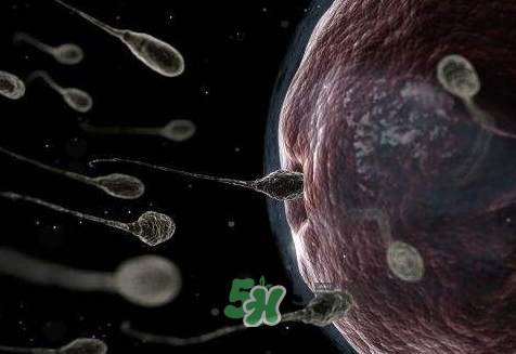 殺精劑避孕可靠嗎？殺精劑避孕要注意什么？