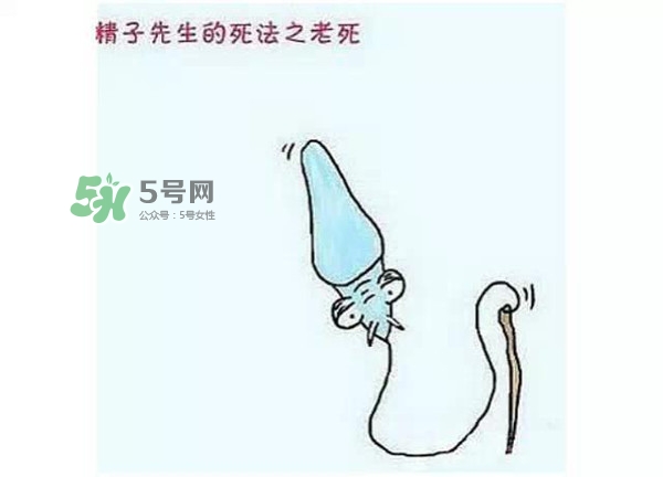 殺精的食物有哪些？吃什么東西殺精？