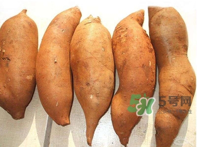 雪蓮果什么時候吃最好？雪蓮果是什么味道？