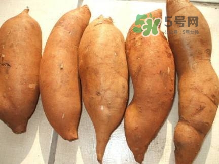 雪蓮果是水果嗎？雪蓮果是什么季節(jié)的水果？