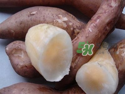 雪蓮果是地瓜嗎？雪蓮果和紅薯的區(qū)別