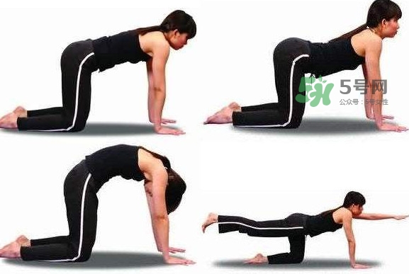 冰激凌線是什么鬼？冰淇淋線怎么鍛煉？