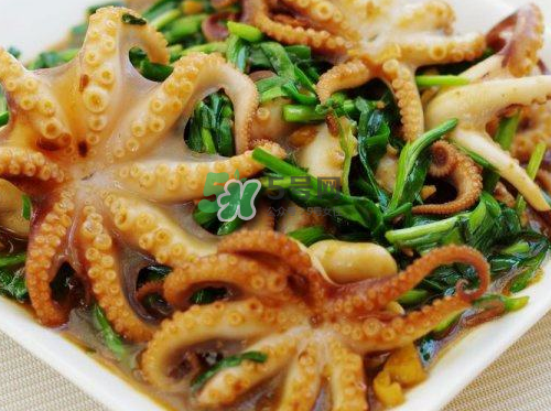 八爪魚可以冷凍嗎？八爪魚可以放冰箱嗎？