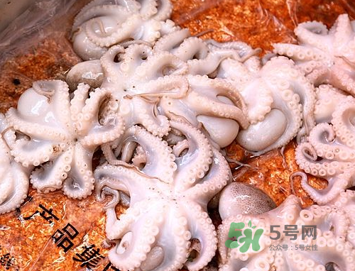 八爪魚可以冷凍嗎？八爪魚可以放冰箱嗎？