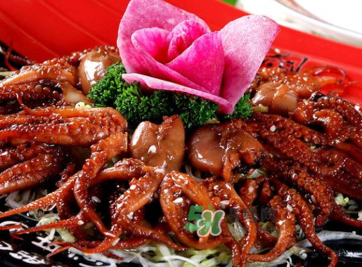 八爪魚什么地方不能吃？八爪魚哪里不能吃？