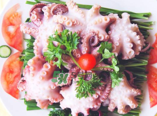 八爪魚什么地方不能吃？八爪魚哪里不能吃？