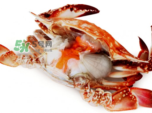 吃梭子蟹會胖嗎？梭子蟹吃了會胖嗎？ 
