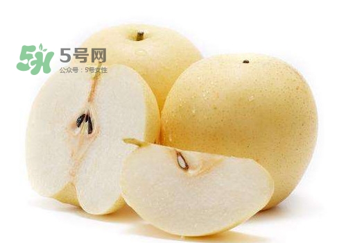 皇冠梨和雪花梨哪個(gè)好？雪花梨和皇冠梨的區(qū)別