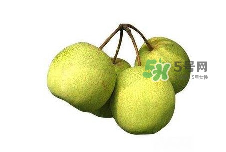 碭山梨好還是皇冠梨好？碭山梨和皇冠梨的區(qū)別