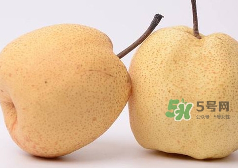 碭山梨什么時候成熟？碭山梨幾月份成熟