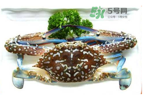 螃蟹腿藍色的是什么？螃蟹腿為什么是藍色？