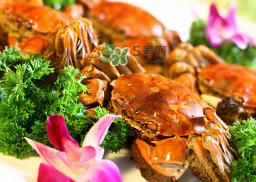 螃蟹的腿掉了還會長嗎？ 螃蟹腿掉了還能再長出來嗎？